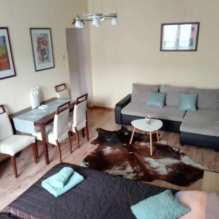 Apartament Centrum 12