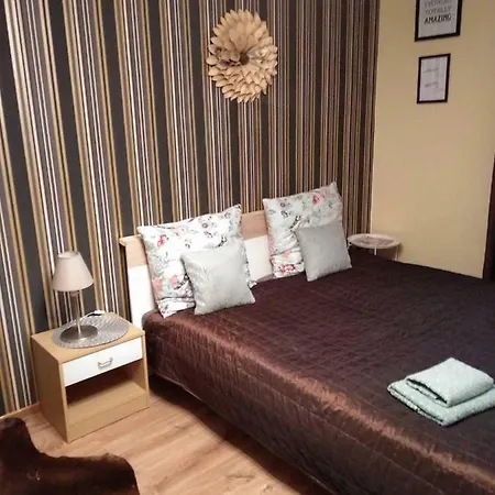 Apartament Centrum 12 דירה